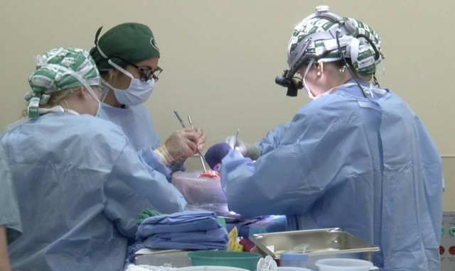 Mεταμόσχευση ορόσημο στην ιστορία της ιατρικής