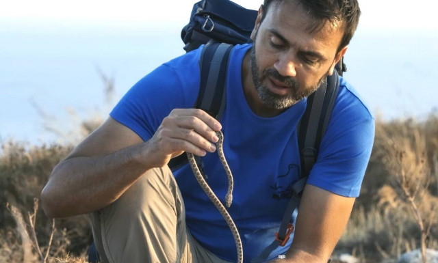 Η «Άγρια Ελλάδα»…ξεπετάγεται στα σαλόνια μας