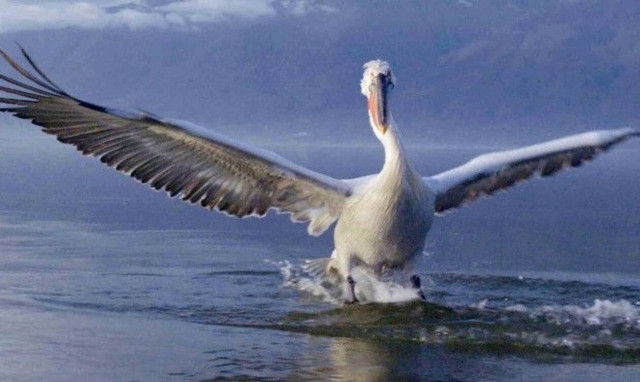 Η Ελλάδα στο νέο επεισόδιο της σειράς «Κρυμμένα Θαύματα της Ευρώπης» στο National Geographic WILD