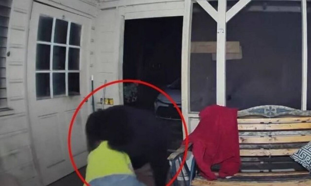 Η στιγμή που ένας τύπος παλεύει με μία αρκούδα για να σώσει τα σκυλιά του (vid)