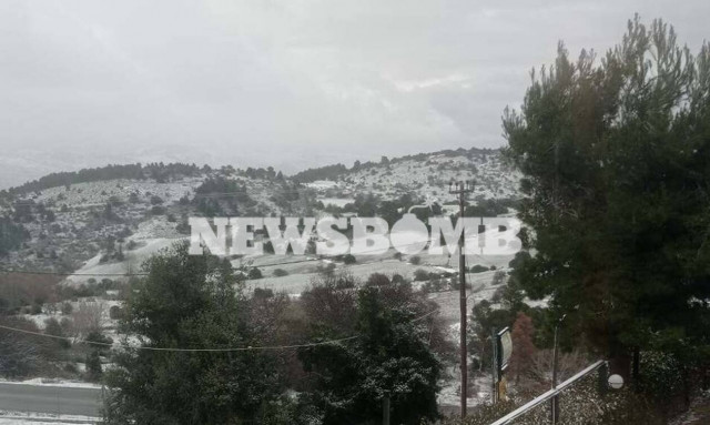 Ρεπορτάζ Newsbomb.gr στην Εύβοια: «Είμαστε σε επιφυλακή, φόβος για τους ηλικιωμένους»