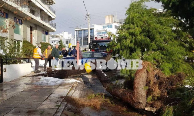 Κακοκαιρία «Ελπίδα»: Συνεργεία υλοτόμων σαρώνουν όλη την Αθήνα