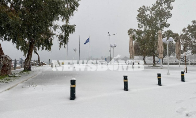 Κακοκαιρία «Ελπίδα»: Έγινε το αυτονόητο - Αργία την Τετάρτη (26/01) σε Εύβοια και Βοιωτία