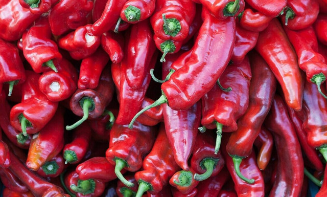 Καυτερή πιπεριά: Το φυσικό όπλο ενάντια στο κρυολόγημα