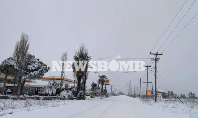 Κακοκαιρία «Ελπίδα»: Χωρίς ρεύμα χωριά σε Φθιώτιδα και Βοιωτία - Μεμονωμένα προβλήματα στην Εύβοια