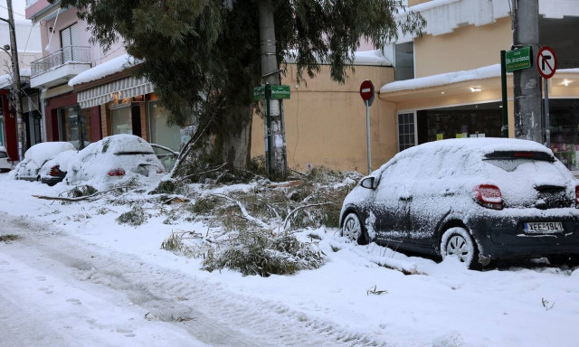 Περισσότερες από 960 κλήσεις δέχτηκε στην Αττική η Πυροσβεστική - 725 μεταφορές ατόμων