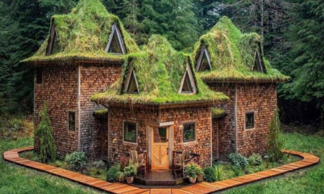 The Castle Cabin: Παραμυθένια «καταφύγια» σε δάσος βροχής