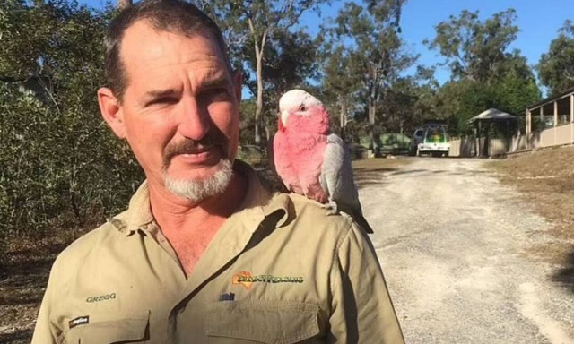 Αυστραλία: Τον απέλυσαν από τη δουλειά και εκείνος πάτησε ον παπαγάλο του αφεντικού με το αμάξι