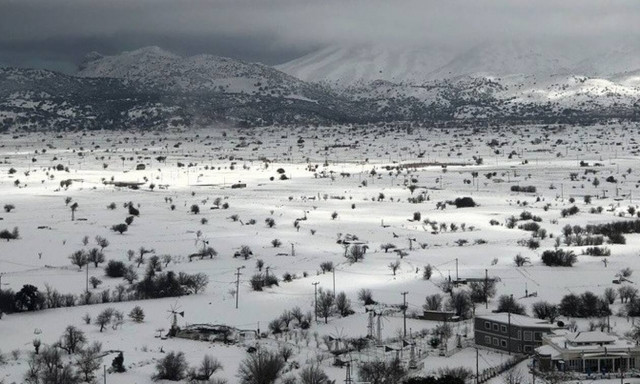 Κρήτη: Έντονες χιονοπτώσεις, μάχη να μείνουν ανοιχτοί οι δρόμοι - Απεγκλωβίστηκε κτηνοτρόφος
