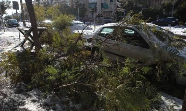 Κάτοικος ζητάει αποζημίωση για πτώση δέντρου, το οποίο δεν άφηνε τον Δήμο να το κόψει