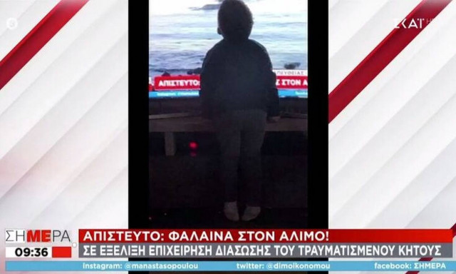 H φωτογραφία που έγινε viral: Πιτσιρικάς φιλάει την τηλεόραση βλέποντας τη φάλαινα στον Άλιμο