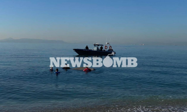 Ζιφιός: Τι είναι το κήτος που έχει εγκλωβιστεί στο Παλαιό Φάληρο
