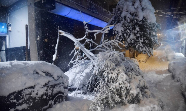 Κακοκαιρία  «Ελπίδα»: Ποιοι δήμοι αποζημιώνουν τις ζημιές από πτώσεις δέντρων σε οχήματα