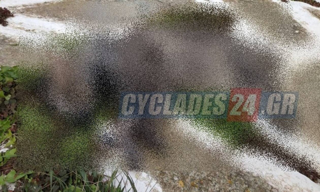 Αποτροπιασμός στη Σίκινο: Δηλητηρίασαν δεκάδες γατιά - Ο δήμαρχος ζητάει να βρεθεί ο ένοχος