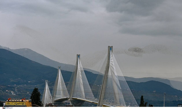 Μαγικές εικόνες στο Ρίο - Αντίρριο: Ψαρόνια σε εντυπωσιακούς σχηματισμούς (photos)