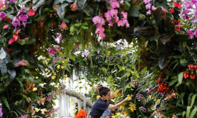 Αποκάλυψη χρωμάτων στο ετήσιο φεστιβάλ ορχιδέας του Λονδίνου