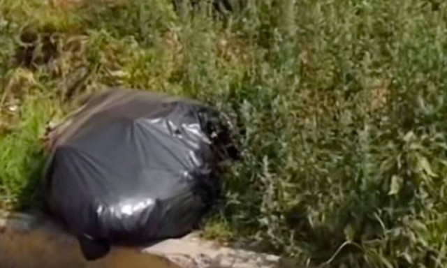 Μεξικό: Συνέλαβαν ζευγάρι κανίβαλων από το Google Maps