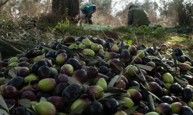 Προσλήψεις στον ΕΛΓΟ - Δήμητρα: Πότε λήγει η προθεσμία αιτήσεων