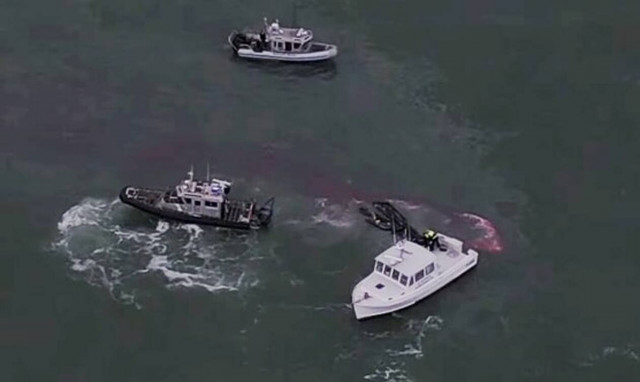 Απίθανη διάσωση για τρεις ψαράδες στις ΗΠΑ: Σώθηκαν επειδή τους είδε μια γυναίκα μέσω Zoom