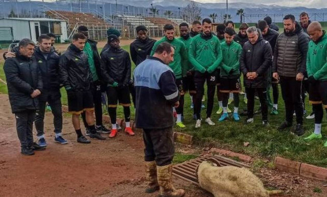 Τουρκία: Θυσίασαν κριάρι για να διώξουν τα κακά πνεύματα στην Κοτσαέλισπορ του Κολοβού