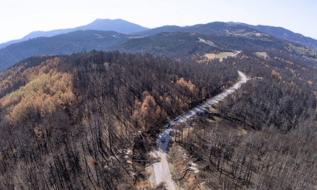 Βόρεια Εύβοια: Σχεδόν 1,4 εκατ. ευρώ ενίσχυση σε επιχειρήσεις που επλήγησαν από κορονοϊό και πυρκαγι