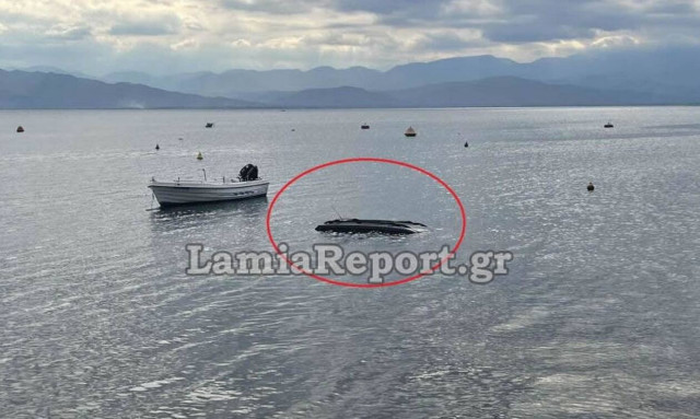 Λαμία: Παραλίγο τραγωδία με οδηγό να βουτάει με το αυτοκίνητό του στη Θάλασσα