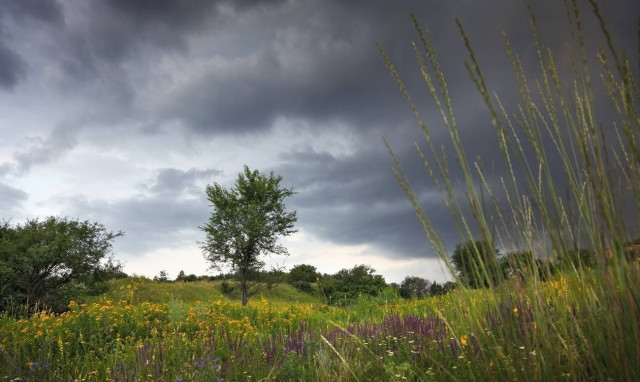 Weather forecast: Rain on Thursday
