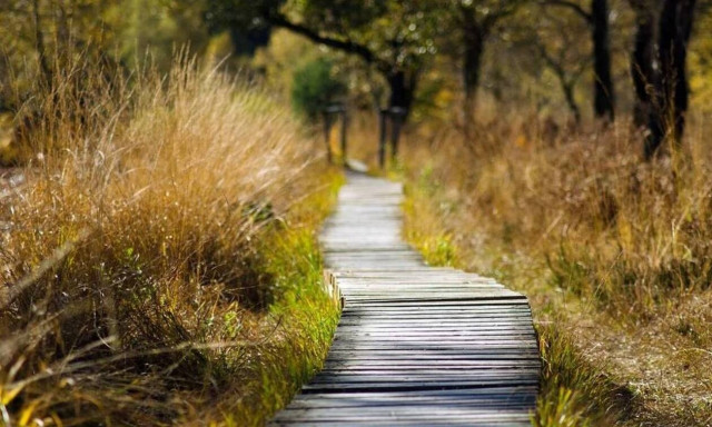 Αυξημένος ο κίνδυνος ψυχικών διαταραχών ακόμη κι έναν χρόνο μετά από λοίμωξη Covid-19