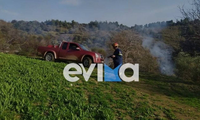 Φωτιά τώρα στην Εύβοια - Καίει δασική έκταση στο Μίστρο (pics)