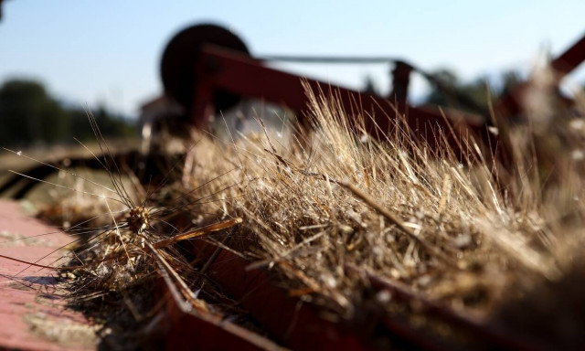 Πόλεμος στην Ουκρανία: Νέα ρεκόρ στις τιμές σίτου και αραβοσίτου στην Ευρώπη