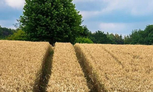 ΟΠΕΚΕΠΕ: 33 θέσεις εργασίας - Ποιες ειδικότητες αφορά