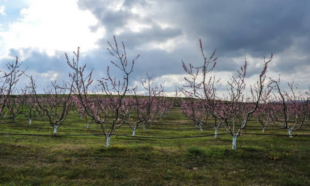 Ο καιρός σήμερα Κυριακή, 6 Μαρτίου