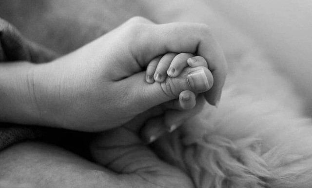 Πάτρα: Οι εκδορές της Μαλένας και το στοιχείο – «κλειδί» - Νέα συγκλονιστικά ντοκουμέντα