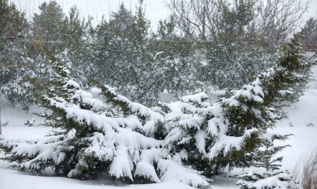 Η κακοκαιρία «χτυπά» τη Θεσσαλονίκη - Πού χρειάζονται αντιολισθητικές αλυσίδες