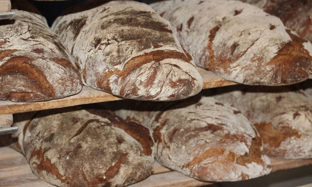 Αρτοποιοί στο Newsbomb.gr: Έρχονται αυξήσεις στο ψωμί - Ανησυχούμε για τις τιμές των σιτηρών