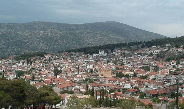 Δεσφίνα: Κωμόπολη με ιστορία και παράδοση