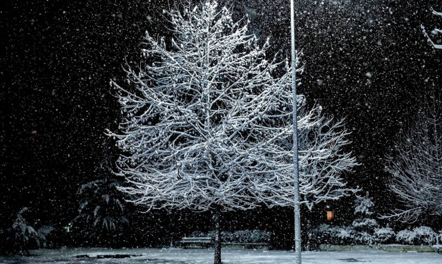 Αρνιακός στο Newsbomb.gr: Στο «μάτι» του χιονιά Αττική, Εύβοια, Φθιώτιδα - Θα το στρώσει στην Αθήνα