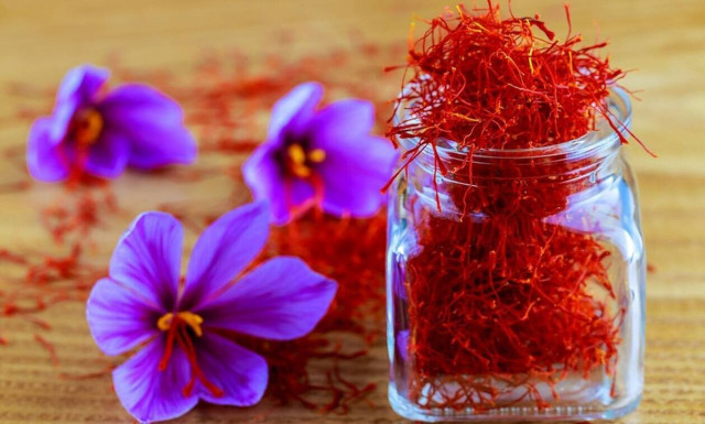 Ο κρόκος κατάγεται από την Ελλάδα της Εποχής του Χαλκού όπου πρωτοκαλλιεργήθηκε, υποστηρίζει μελέτη