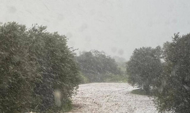 Κύπρος: Xιόνι μέχρι και τη Λευκωσία έφερε ο Φίλιππος (vid)