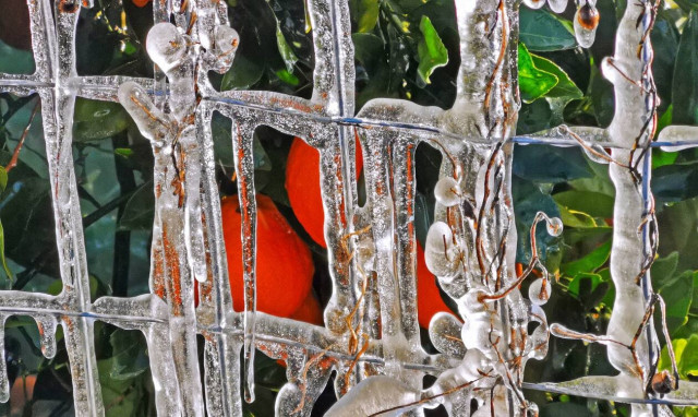 Γιαννόπουλος στο Newsbomb.gr: Νέα ψυχρή εισβολή «χτυπά» τη χώρα - Ποιες περιοχές θα επηρεαστούν