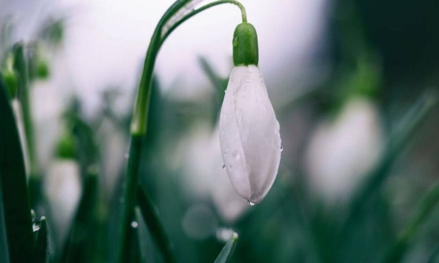 Καιρός: Δεν υποχωρεί ο χειμώνας - Άνοιξη με βροχές, κρύο και χιονοπτώσεις