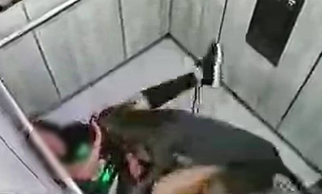 Κολομβία: Σκύλος επιτέθηκε στην ιδιοκτήτρια του - Σώθηκε επειδή μπήκε στο ασανσέρ (video)