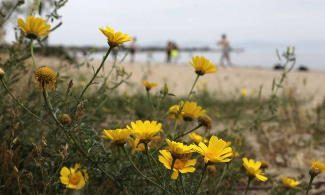 Μαρουσάκης στο Newsbomb.gr: «Κακοκαιρία... τέλος - Πότε μπαίνει η άνοιξη»