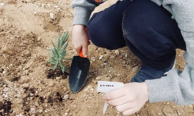 Η Sunlight Group πραγματοποιεί δενδροφυτεύσεις στις περιοχές όπου δραστηριοποιείται