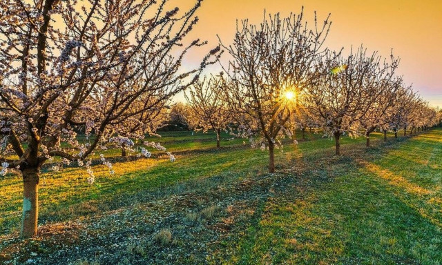 Ανοιξιάτικος ο καιρός το Σαββατοκύριακο - Αναλυτική πρόγνωση για όλη τη χώρα