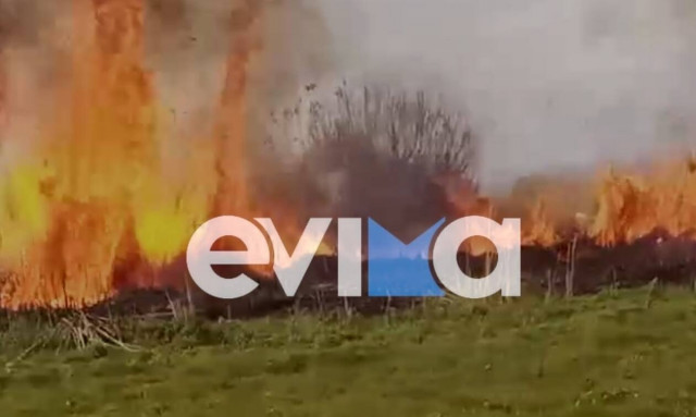 Μεγάλη φωτιά στην Εύβοια