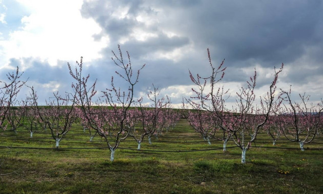 Καιρός: Με συννεφιά και λασποβροχές η Δευτέρα - Μέχρι 19 βαθμούς η θερμοκρασία (pics)