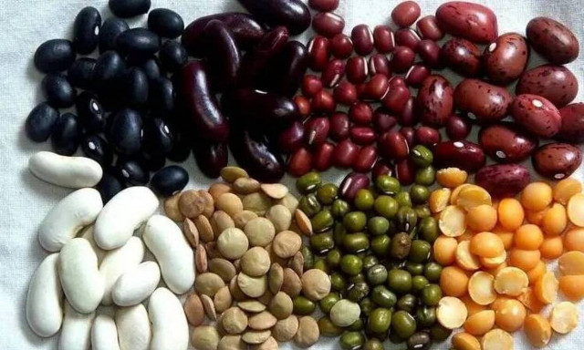 Αλλαντίαση: Τι είναι, γιατί σκότωσε την 46χρονη που έφαγε φασολάκια - Πώς θα προστατευτείτε