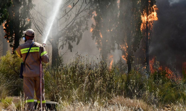 Φωτιά στο Ρέθυμνο - Απειλήθηκαν σπίτια