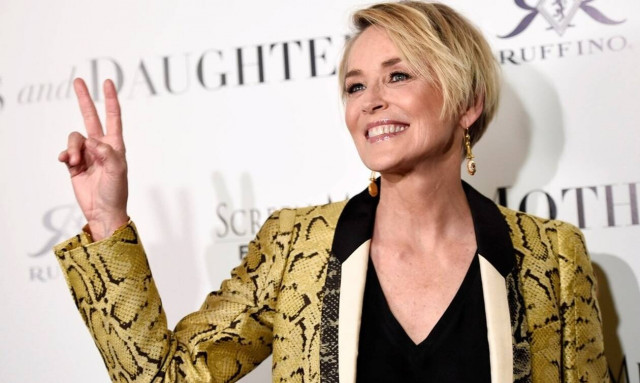 Η Σάρον Στόουν επιστρέφει ως «κακιά» σε νέα ταινία της DC